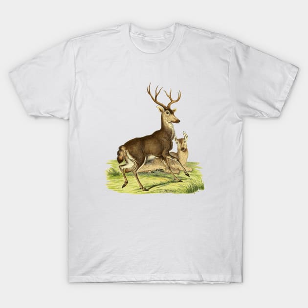 Deers Illustration T-Shirt by Biophilia